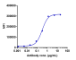 Anti-CCR5 / CD195 Reference Antibody (leronlimab)